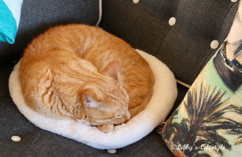 Toy sack, play mat combo Choosing the best tutorial and why I made