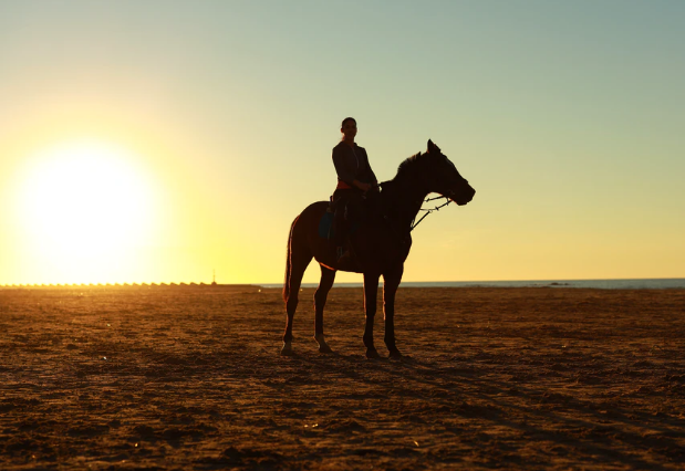 Ternyata Ini Arti Mimpi Naik Kuda Yang Sebenarnya TABIR