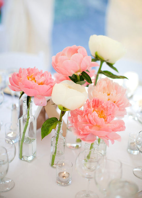 Wedding Stuff Ideas Choosing the Best Flower For Your Spring Wedding