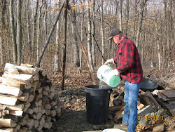 Sap Collection at the Site
