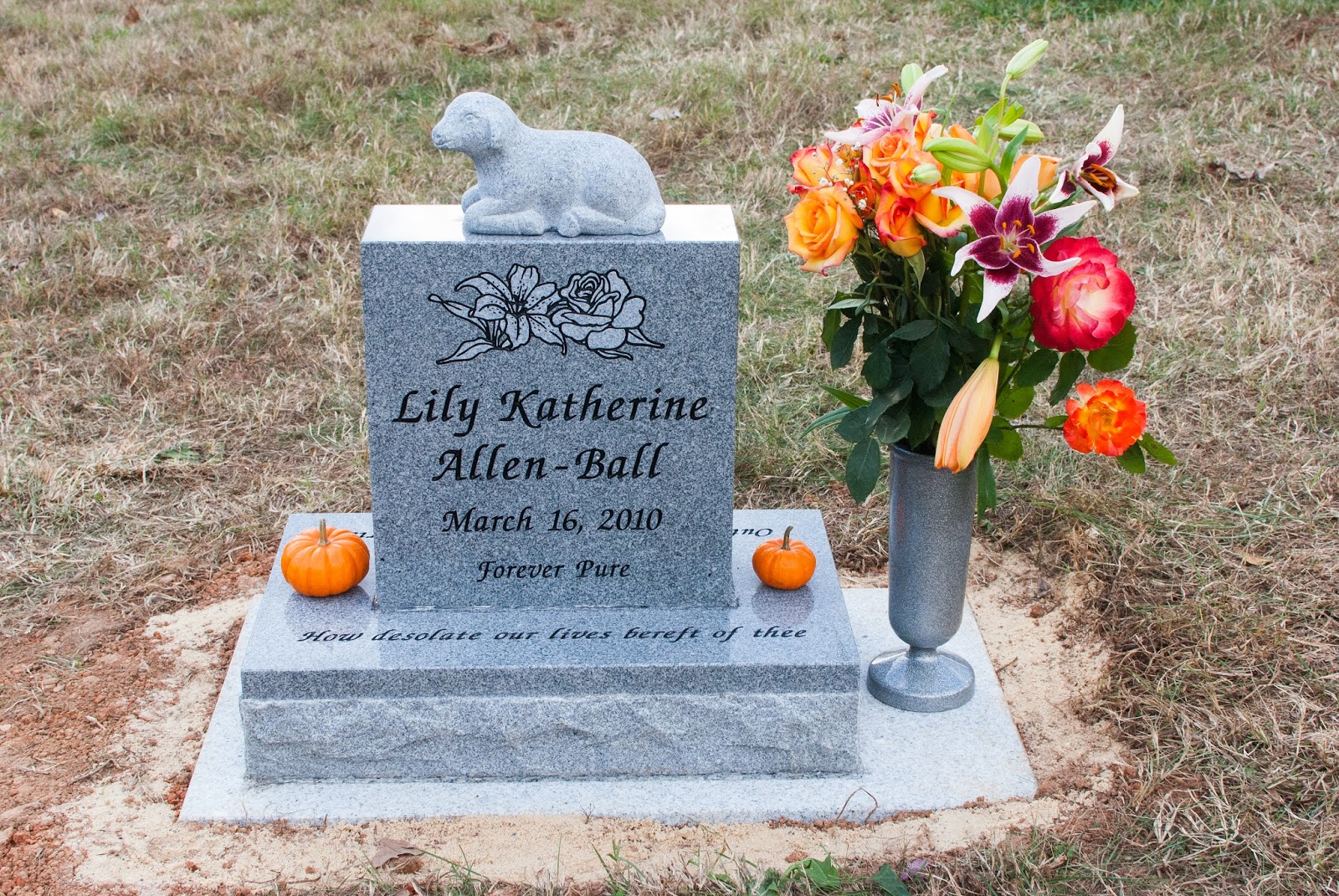Rose and Her Lily December 2013