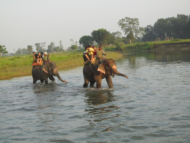 Honeymoon trip in Chitwan 