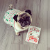 GUEST REVIEW by Danny Pearson and Jess the Pug!