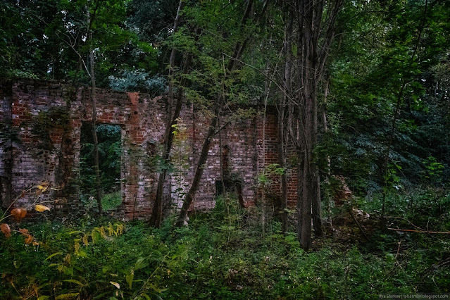 Сочинение про усадьбу рукавишниковых Поросшие травой и деревьями кирпичные развалины