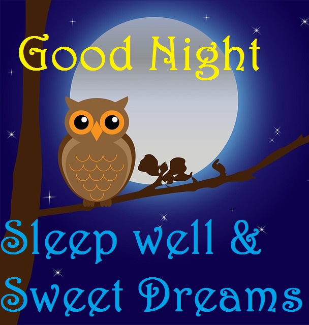 Beautiful Good Night Birds Images for Good Night Wishing Your Hop