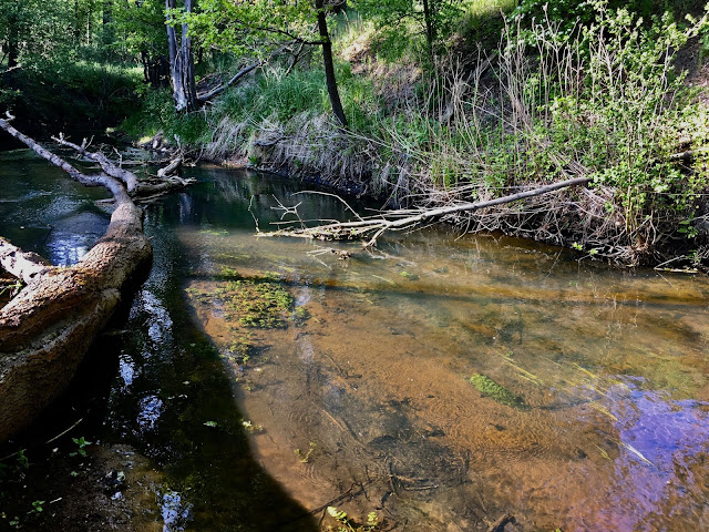 Rosarium Uwe Rosenkranz Rosary