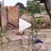 Homem é flagrado estuprando uma cadela em Paripiranga/BA