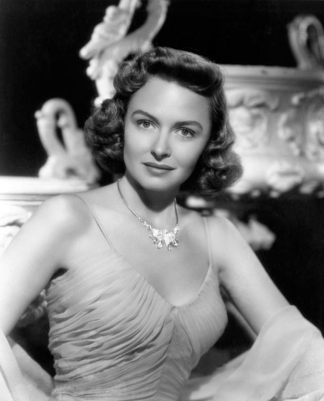 Glamorous Photos Of Donna Reed In The S And S Vintage Everyday