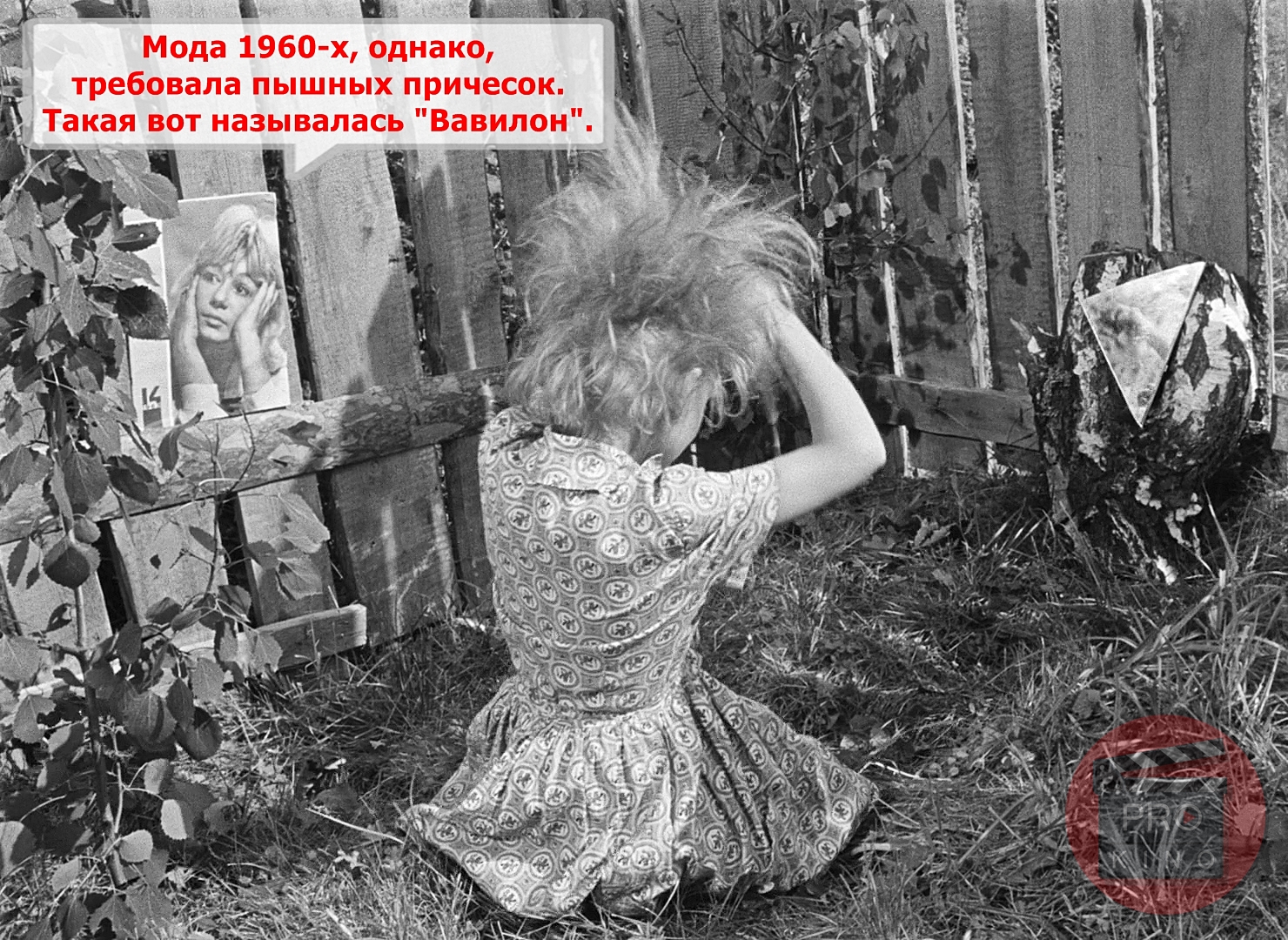 елена ленина. смешные прически для девочек. митрофанова вавилоны на голове. митрофанова вавилоны на голове. прически с шиньоном в 60-е.