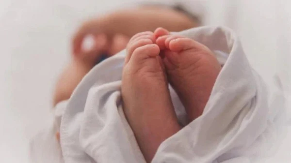 News, Kerala, Kochi, Mother, Parents, Birth, Baby, Doctor, Nurse, Hospital, America, Surrogate Mother, After Corona Parents were arrive to see the baby