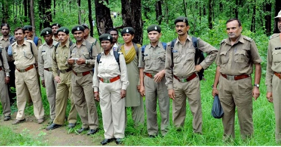 Bamboo Regeneration Efforts Initiated In Chhattisgarh By The Forest Department