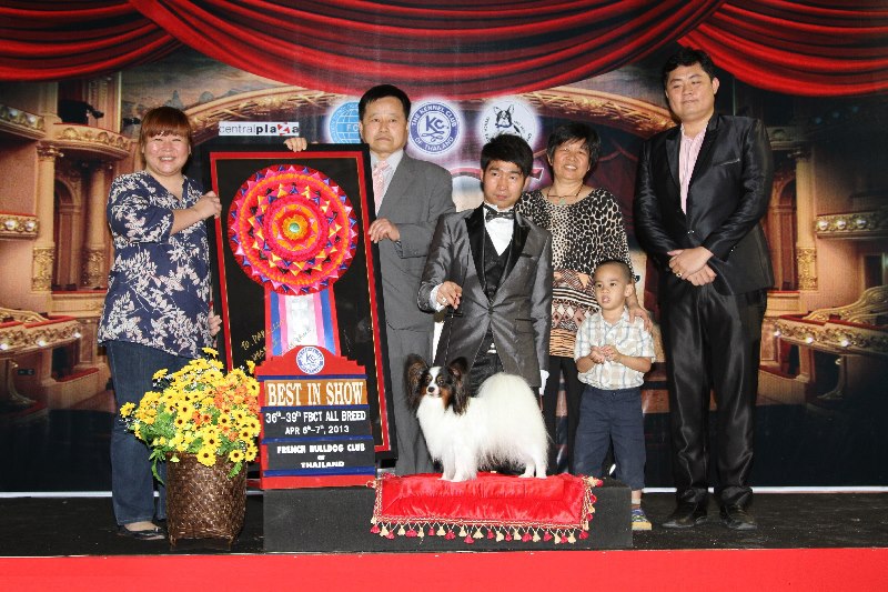 Professional Dog Grooming Shampoo MD10 Collection Champu para Perros