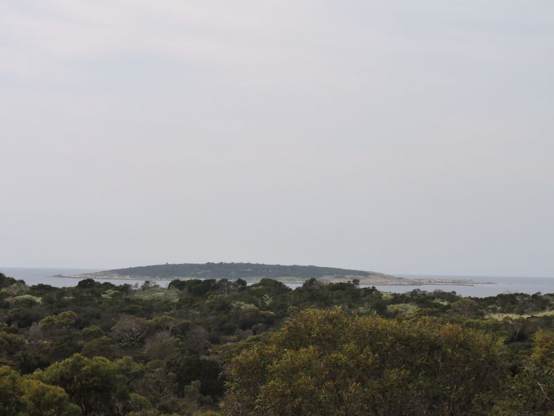 ISLANDS FOR SALE LAKE VICTORIA, UGANDA LAND FOR SALE ON KALANGALA