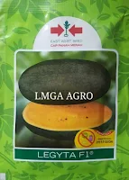 usaha rumahan, budidaya buah, jual murah benih semangka, toko online pertanian, lmga agro