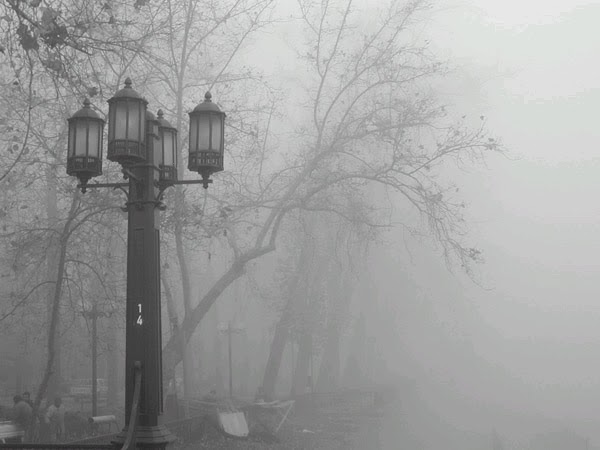 En la Niebla