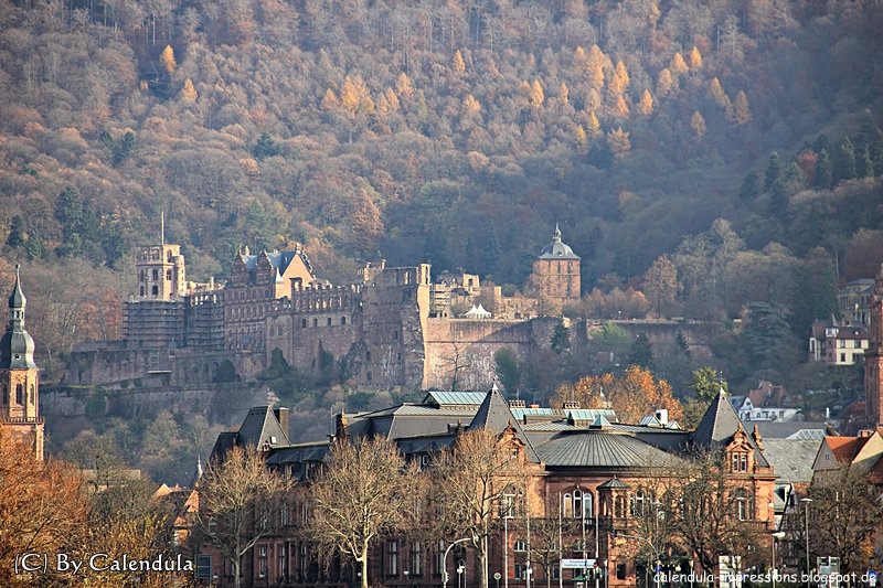 Heidelberg Schloss