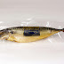 Smart Guides to Find Mackerel Suppliers from Norway