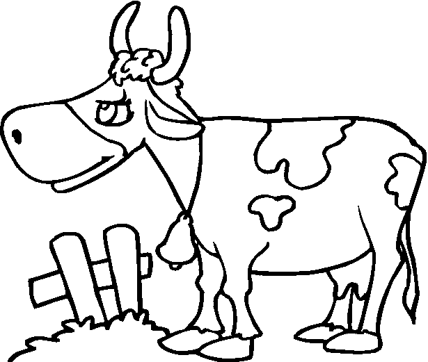 gambar hewan sapi - gambar sapi