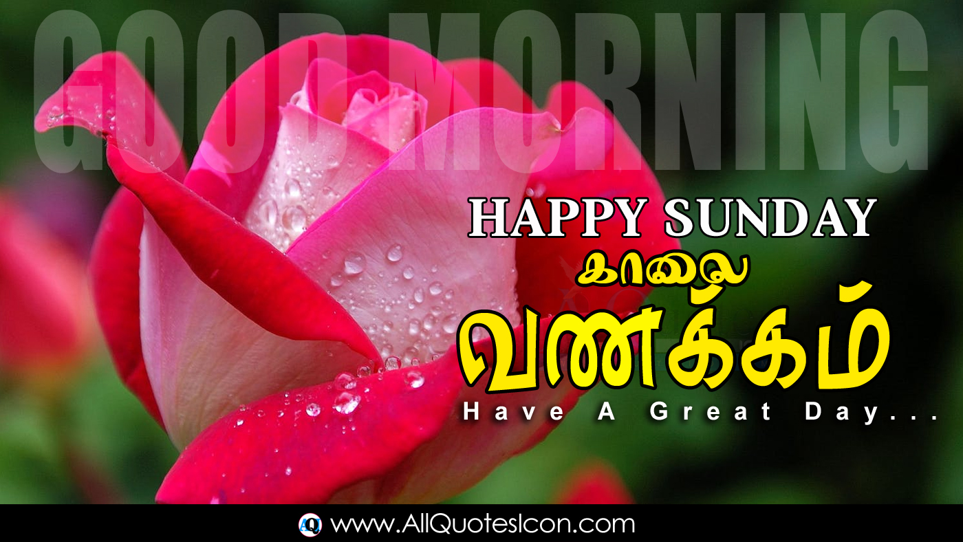 Happy Sunday Good Morning Greetings In Tamil D Wallpapers Top Kannada Good Morning Wishes Messages Pictures Tamil Kavithaigal Free Download Www Allquotesicon Com Telugu Quotes Tamil Quotes Hindi Quotes English Quotes Sunday is generally considered as the first day of the week and probably the day when every spend some quality time with their loved ones. happy sunday good morning greetings in