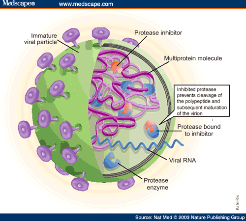 HIV protease inhibitors - meddic