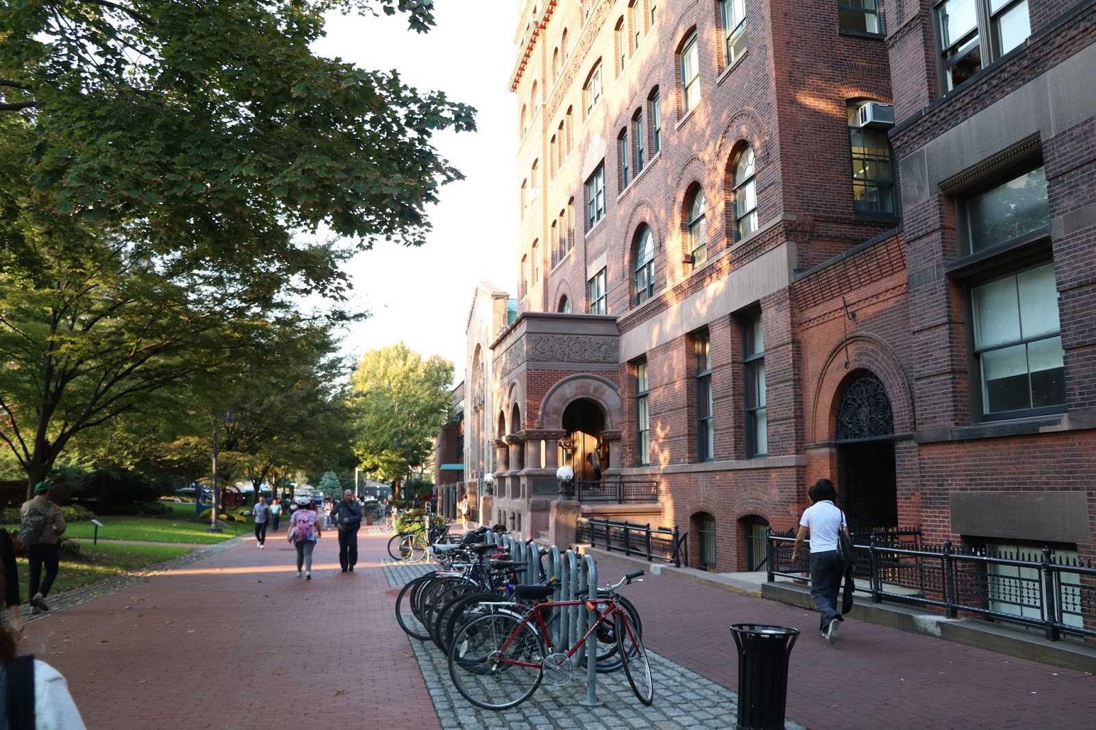 About CRITICAL & VISUAL STUDIES