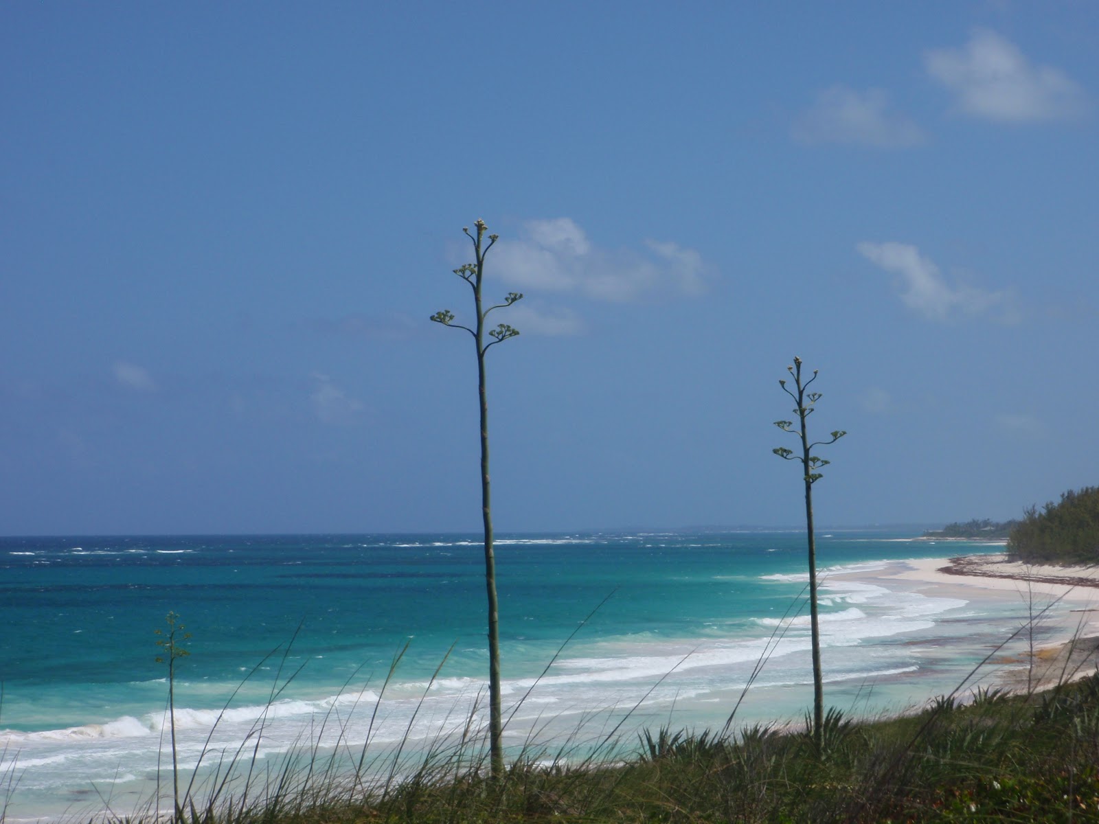 S/V TIDES INN Sailing Adventures Eleuthera tour by auto