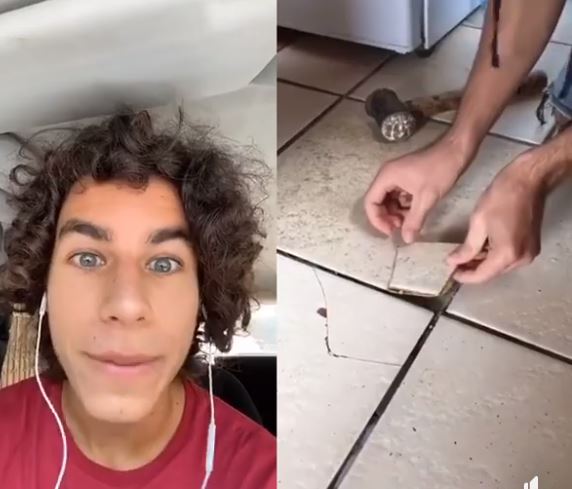 معنى كلمة بينا بار المنتشرة على مواقع التواصل الاجتماعي 2020 Egy4 Trends حصريا بلا حدود