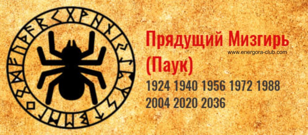 прядущий мизгирь по славянскому календарю. год славянского календаря. прядущий мизгирь. 2020 год какого животного по славянскому календарю. славянский календарь животных по годам таблица по месяцам.