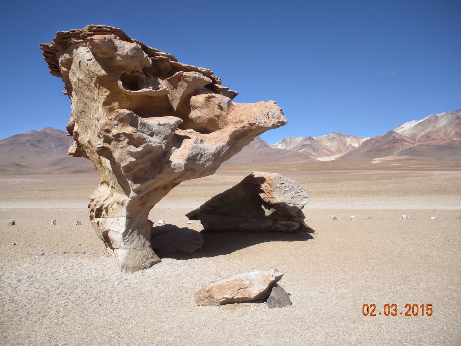 Atacama/desierto de Dali - Atacama (7)