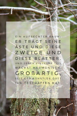 Die 50 besten Zitate zu den Themen Wald und Bäume | Waldzitate | Baumzitate | Naturzitate | Zitate-Wald | Inspirierende-Zitate