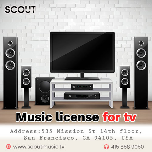 Music licensing. The different type of licenses that you can get