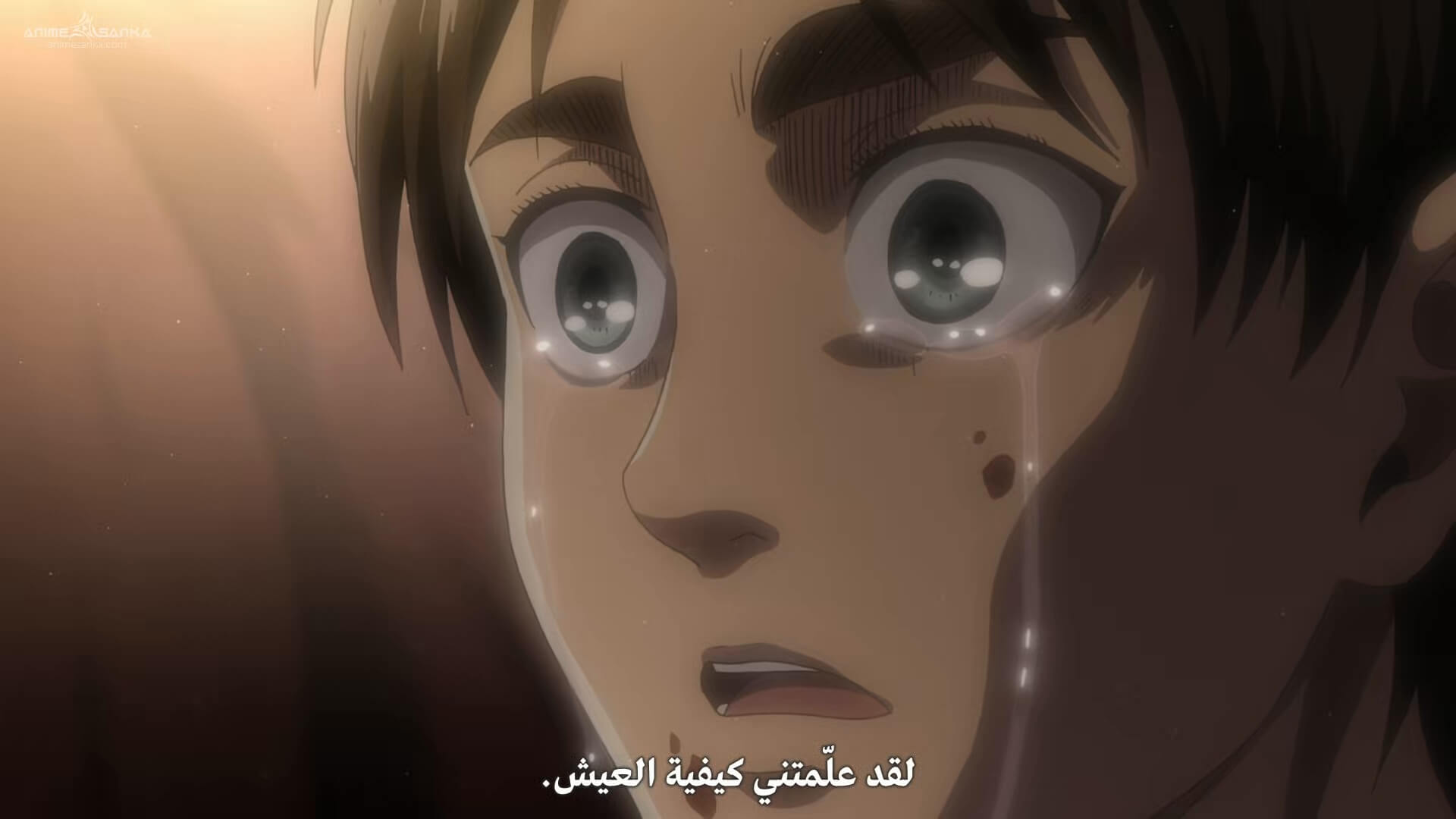 отец эрена атака титанов. плакать или сражаться какое решение принял эрен. плакать или сражаться какое решение принял эрен. атака титанов мемы эрен. плакать или сражаться какое решение принял эрен.