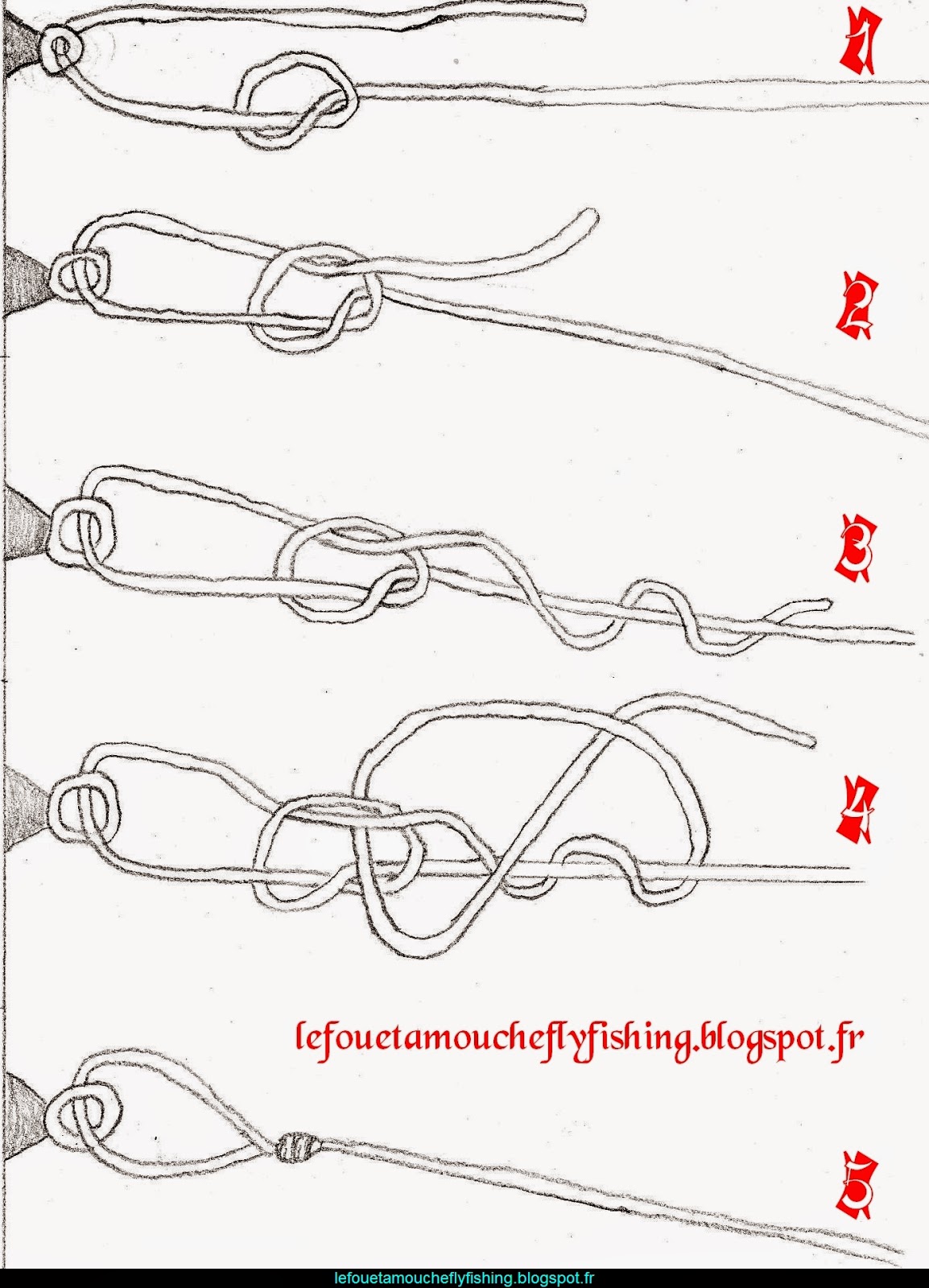 Le Fouet à Mouche Les Noeuds