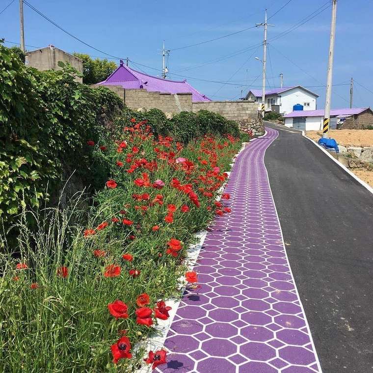 Purple Island in South Korea