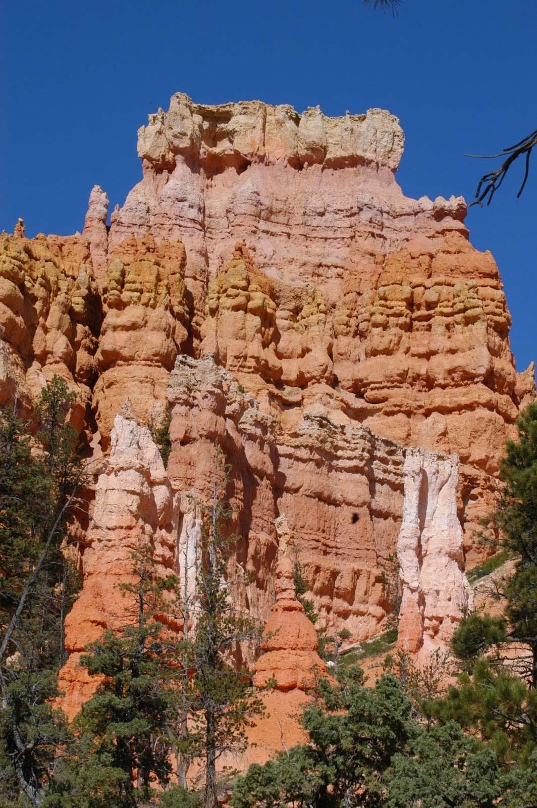 Madison to Indio via Tesla SuperCharger Bryce Canyon and Zion National