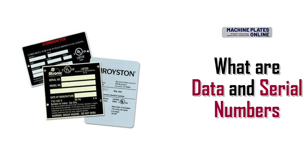 What are Data and Serial Numbers?