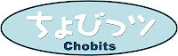 chobits - ELIMINAR Chobits (TV) [versión 1] [BDrip] [Dual] [2002] [24/24] [135 MB] - Anime no Ligero [Descargas]