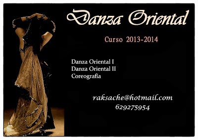 Danza Oriental 2013-2014