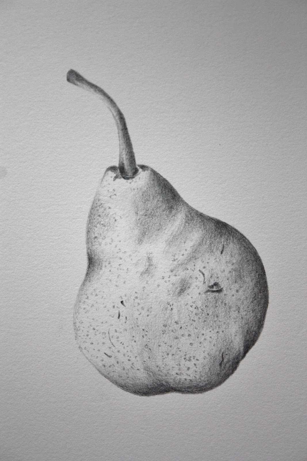 The Natural Year: RBGE Certificate of Botanical Illustration - end of ...