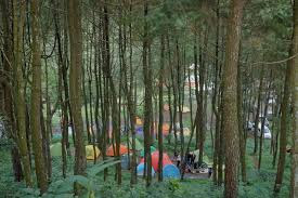 3 tempat camping hits di Bogor Liatliatberangkat.blogspot.com