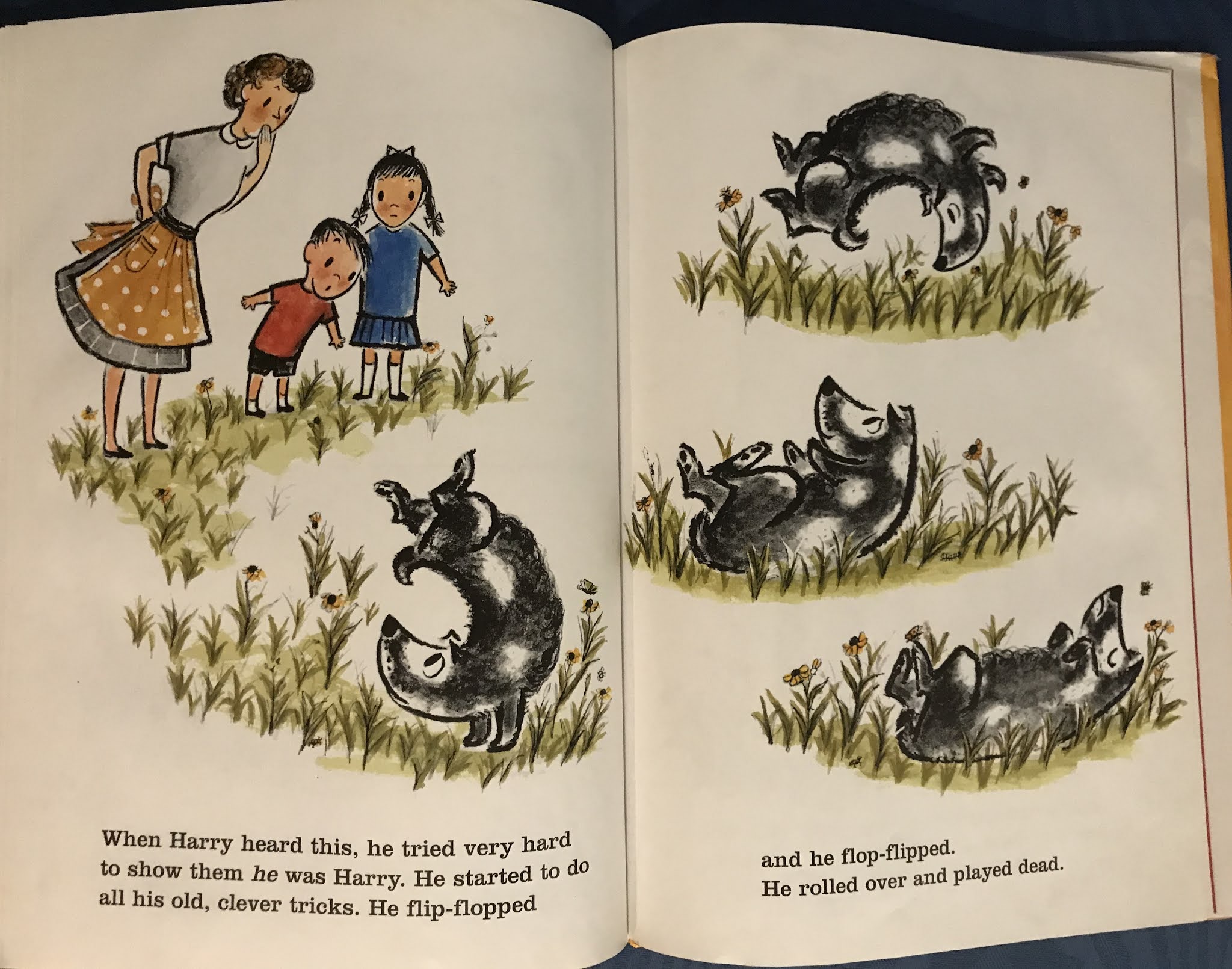 Staircase Wit Harry the Dirty Dog by Gene Zion and Margaret Bloy