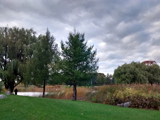 parc Jarry l'automne, ciel gris