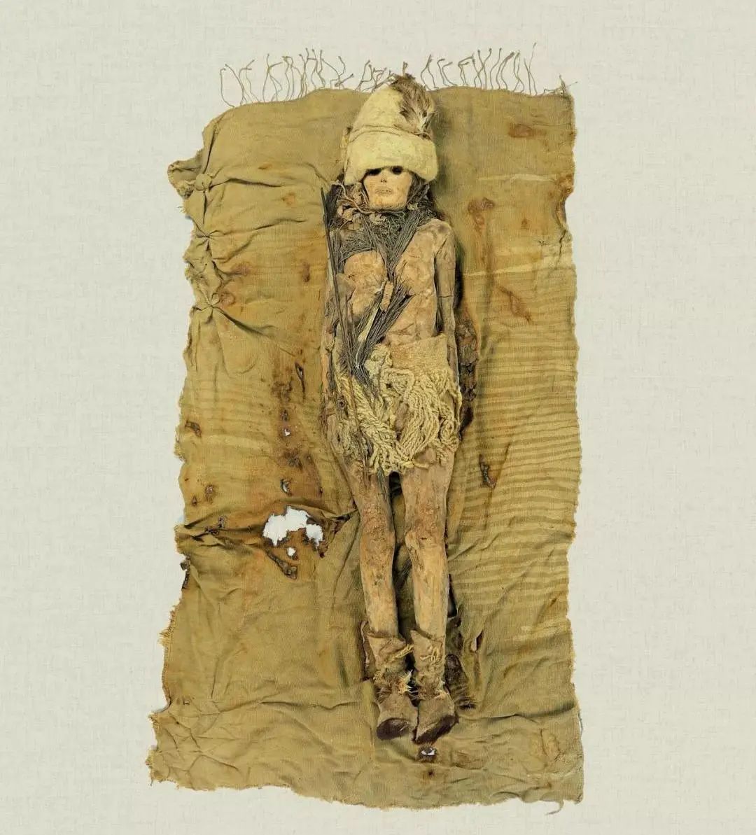 Human Journey 人類旅程 2021