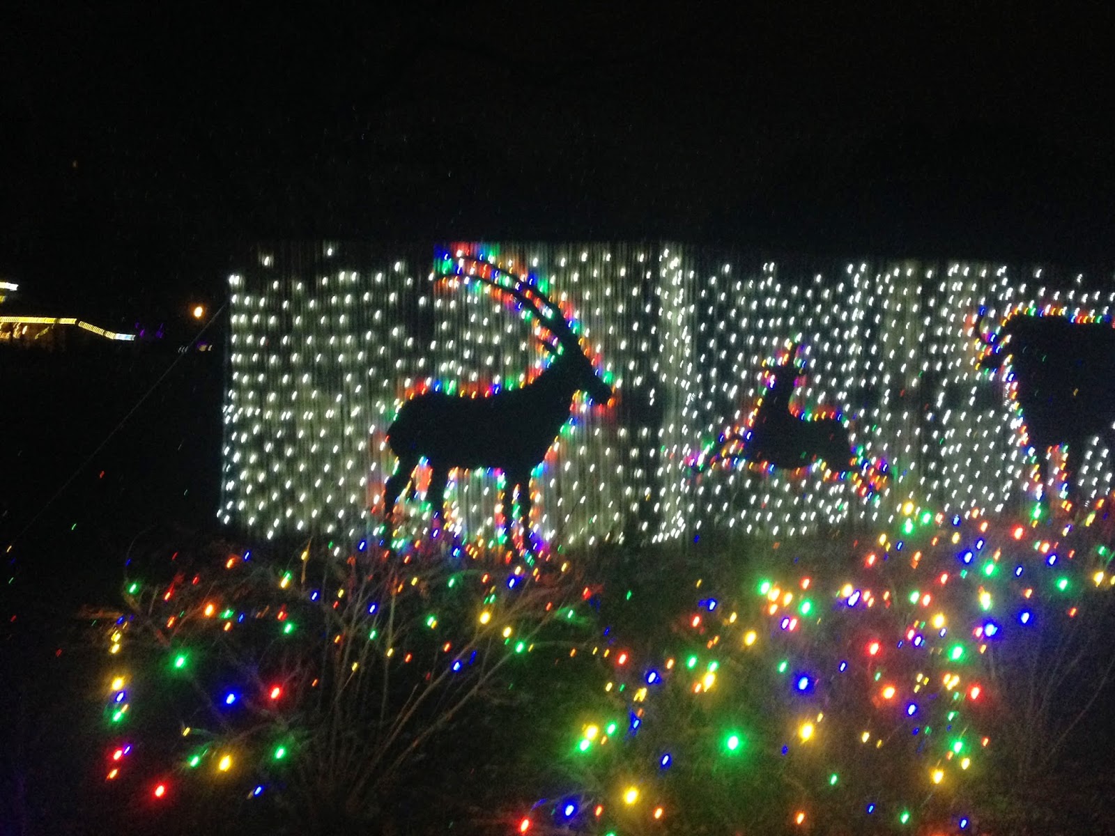 The Nielsens Woodland Park ZooLights