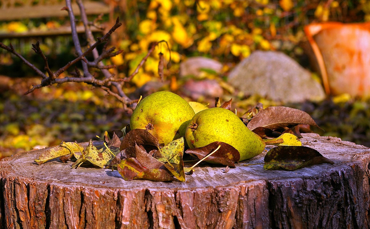 Cuisine maison, d'autrefois, comme grandmère Recette de confiture de