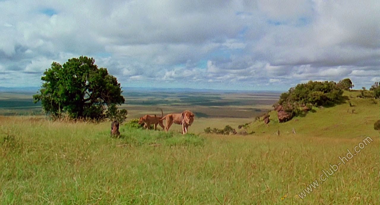 Out_of_Africa_CAPTURA-4.jpg