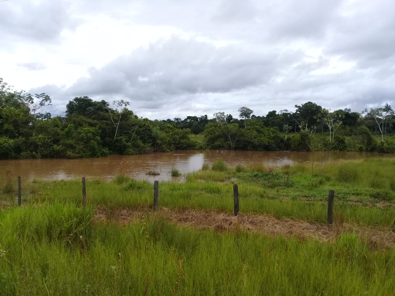 ENCHENTE%2BCASTANHEIRAS%2B16-02-2019%2B%252817%2529
