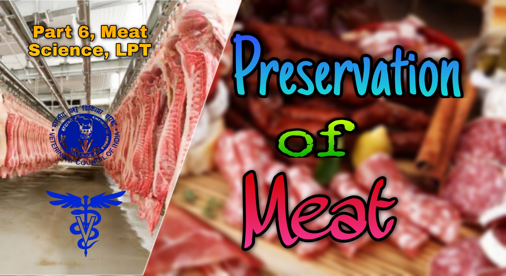 Preservation of Meat by Drying, Smoking, Chilling, Salting, Irradiation