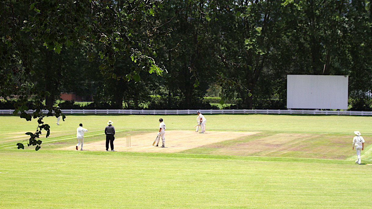 My two cents The best of the school cricket fields