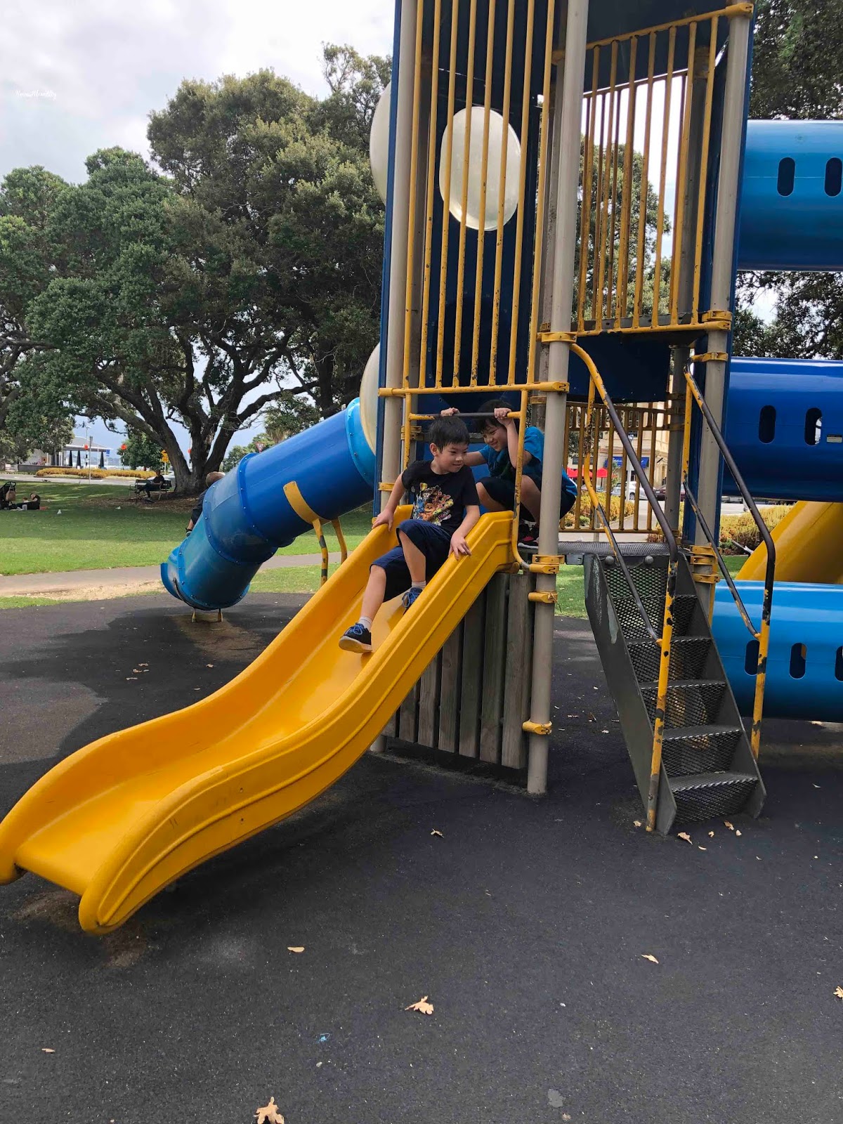 Hawaii Mom Blog Visit Auckland Windsor Reserve